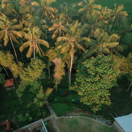 Bali Made Escape Payangan Exterior foto