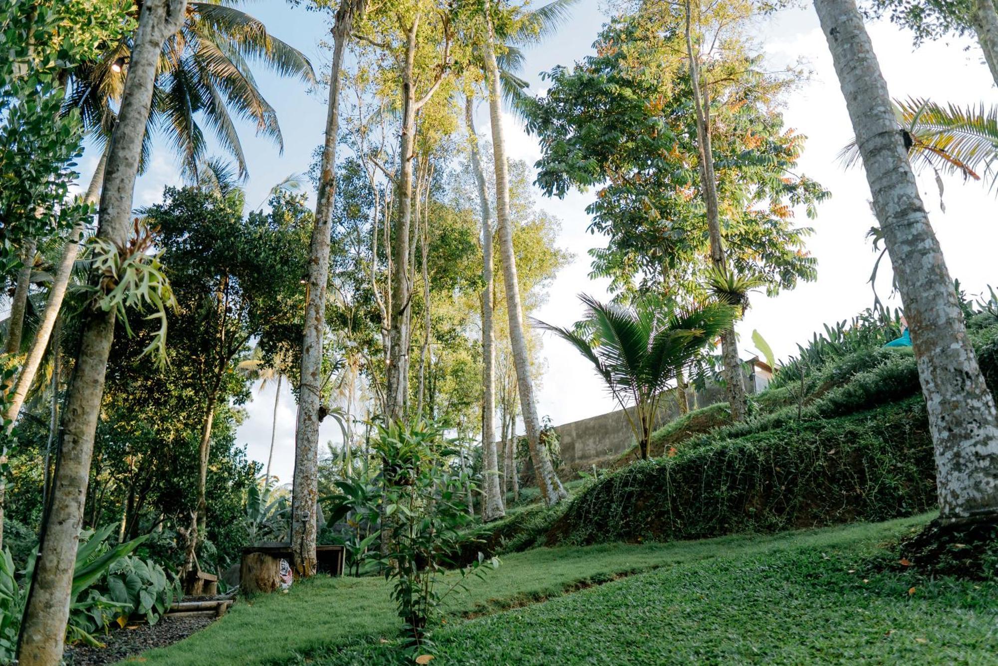 Bali Made Escape Payangan Exterior foto